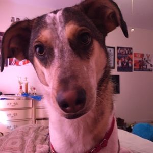 Meet your Posher, Lillian